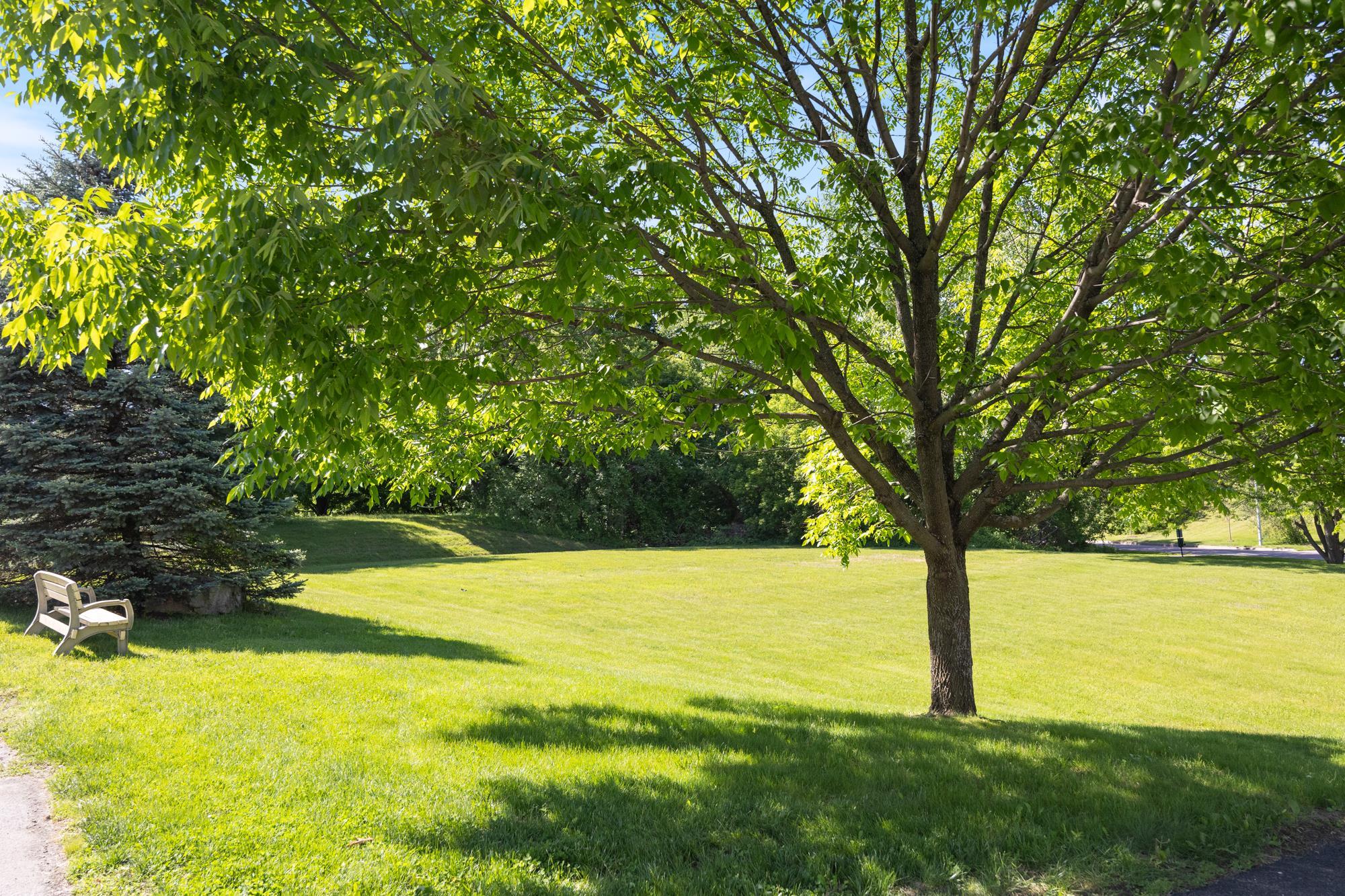 311 Abigail Drive