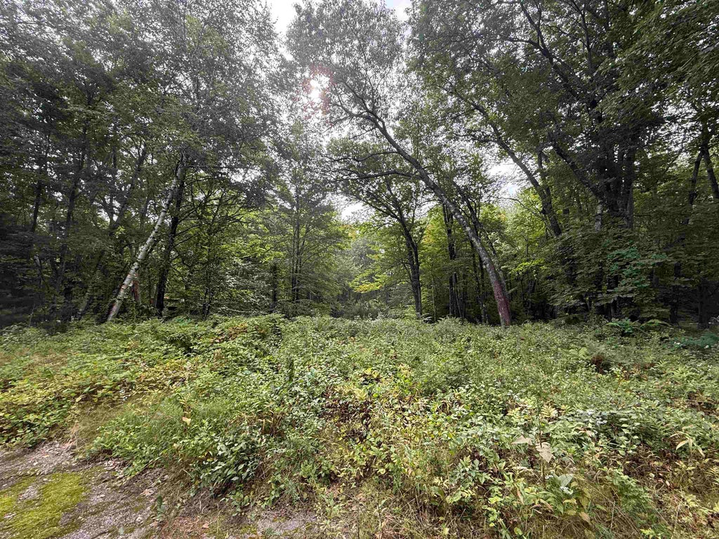 Photo of 21 Chase Road #Lot 2-2, Map 11, Blo, Newton, NH 03858 (MLS # 5107254)