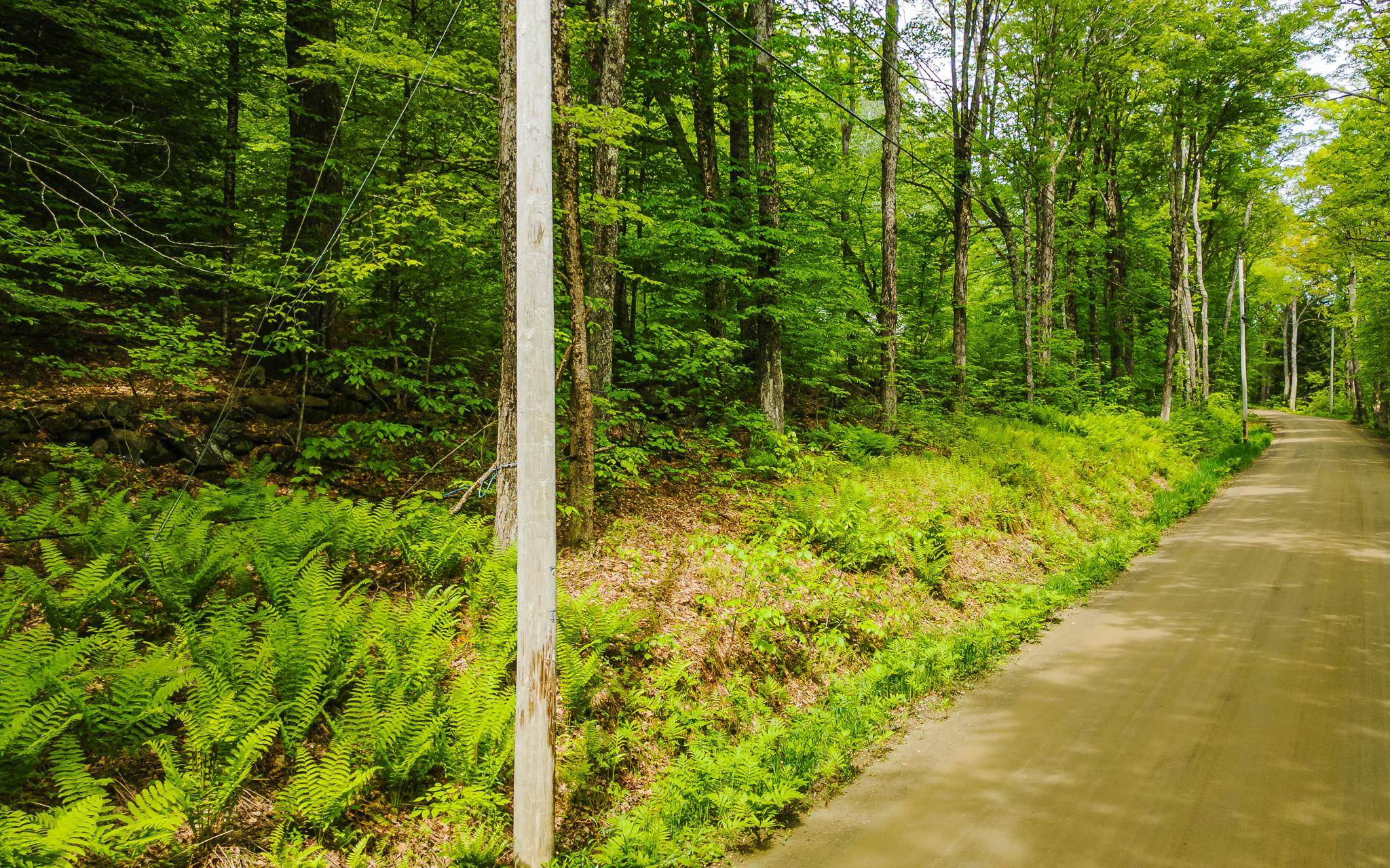 Lot 67 Camp Brook Road