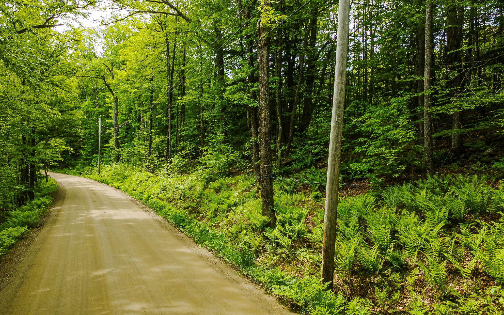 Lot 67 Camp Brook Road