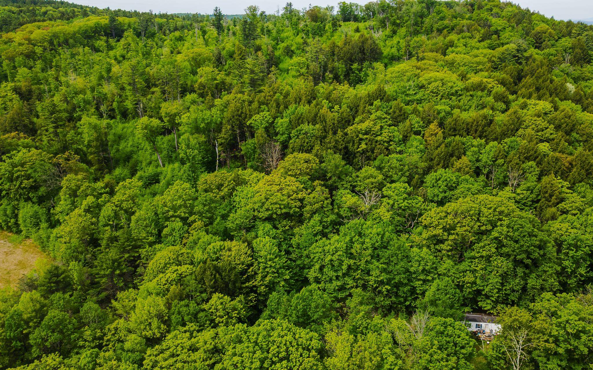 Lot 67 Camp Brook Road