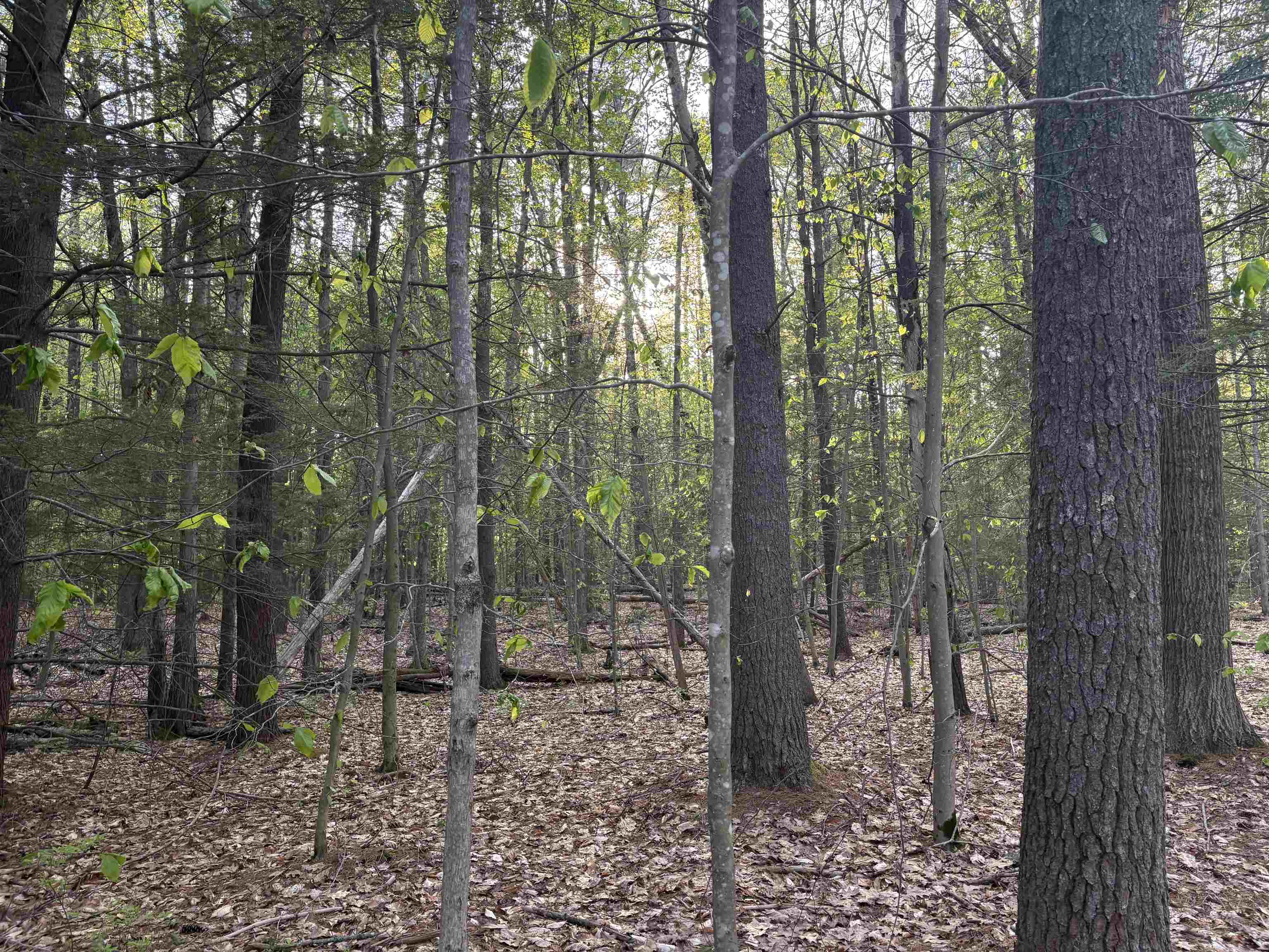 Lot 80 Currier Road