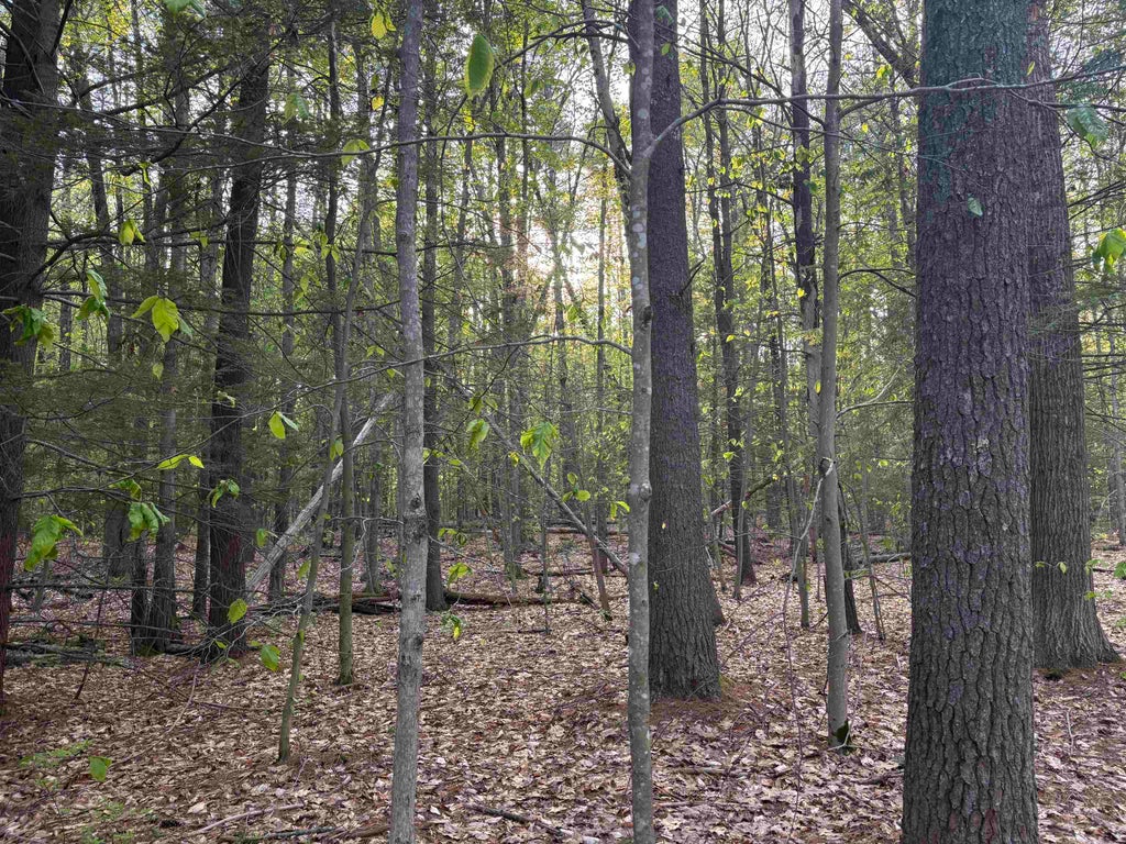 Photo of 80 Currier Road, Candia, NH 03034 (MLS # 5089512)