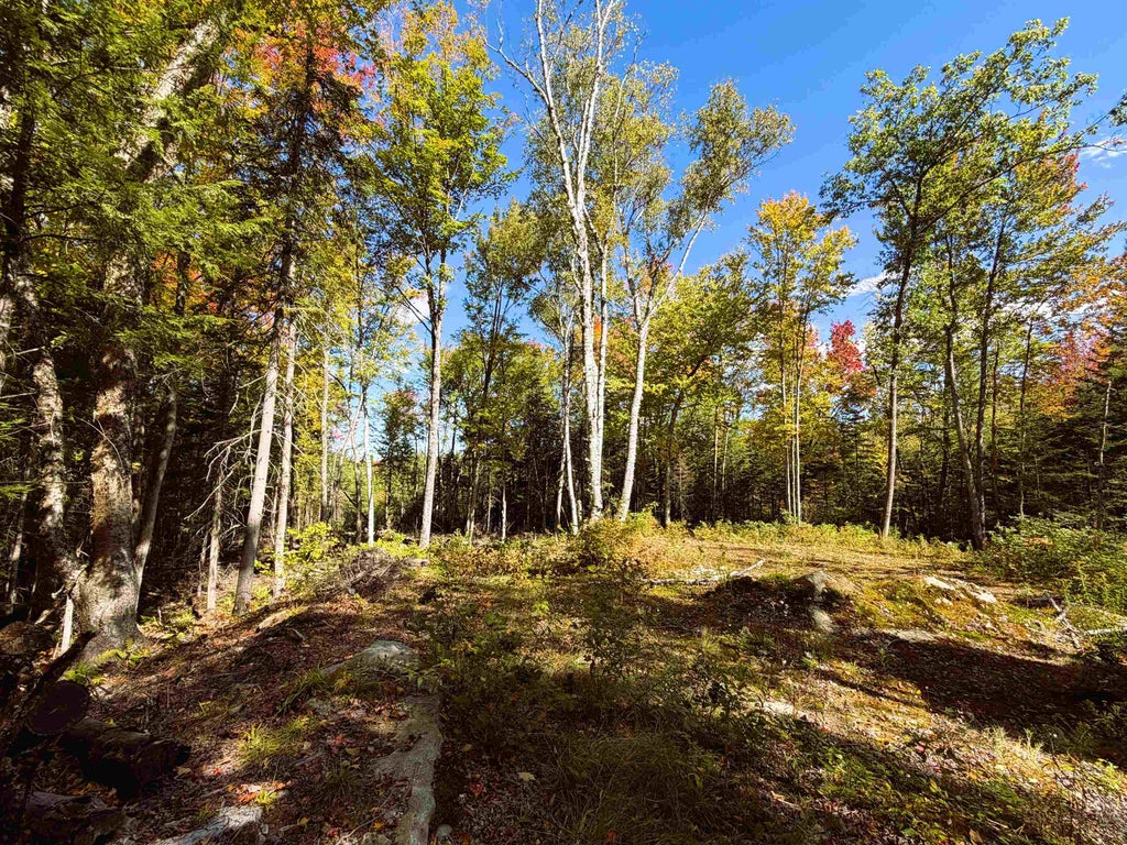 Photo of 0 Cyr Road, Littleton, NH 03561 (MLS # 5112127)