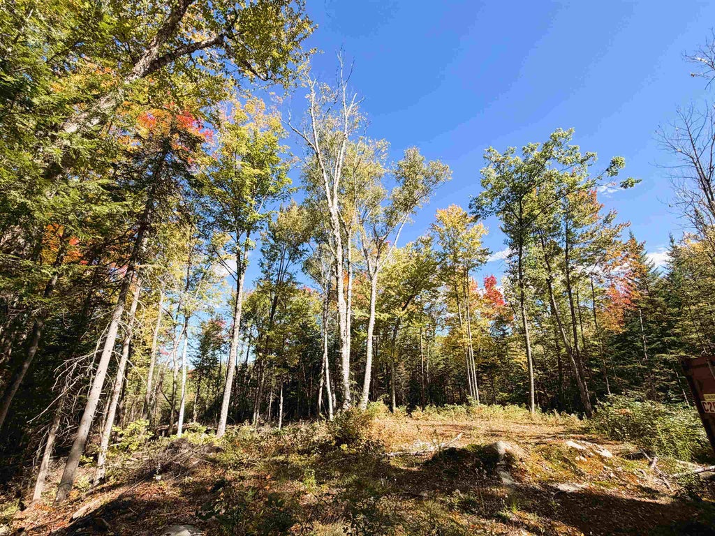 Photo of 0 Cyr Road, Littleton, NH 03561 (MLS # 5112127)