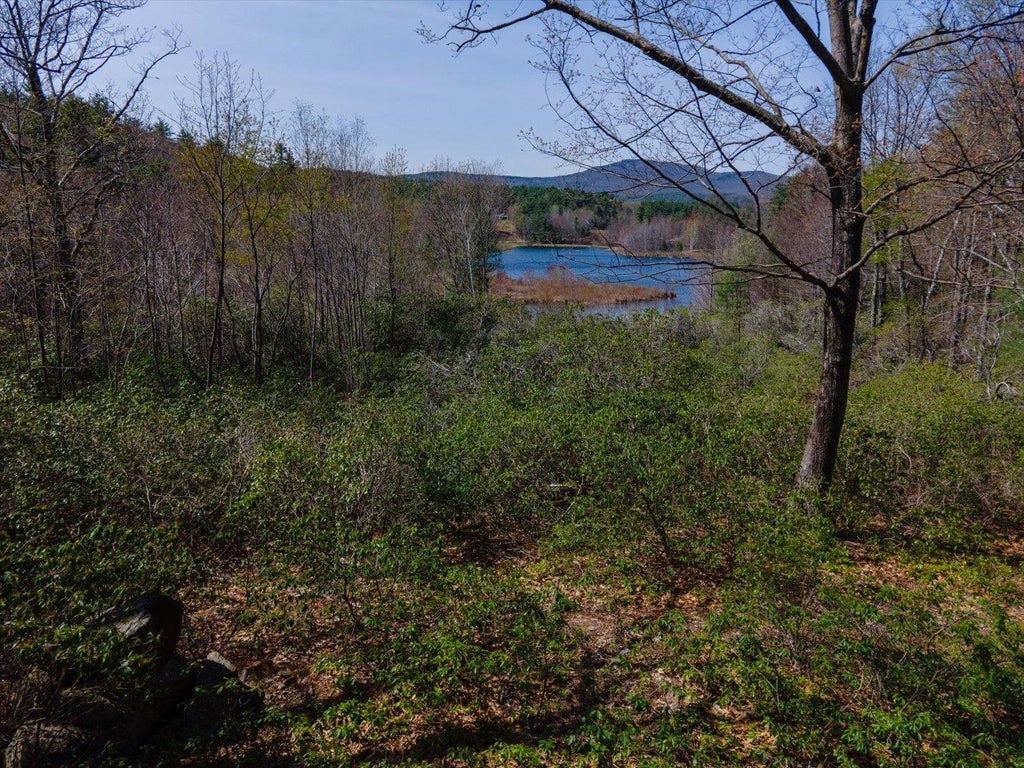 Photo of 00 Stonegate Farm Road, Temple, NH 03084 (MLS # 5094026)