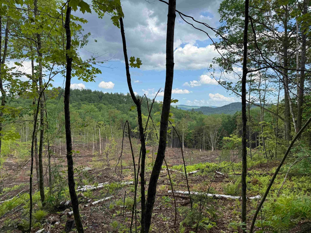 Photo of 3 King Road, Alexandria, NH 03222 (MLS # 5109804)
