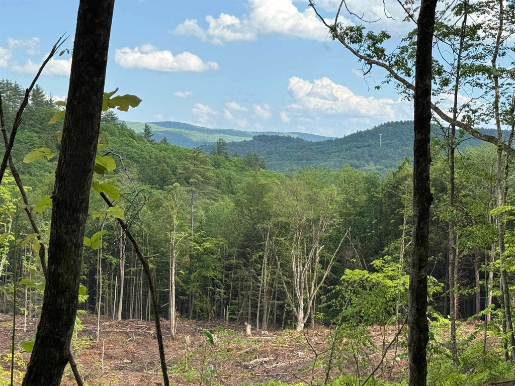 Photo of 3 King Road, Alexandria, NH 03222 (MLS # 5109804)