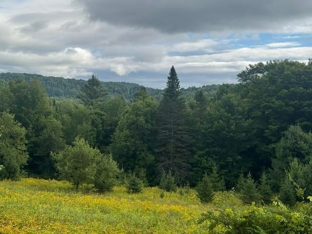 Shadow Lake Road