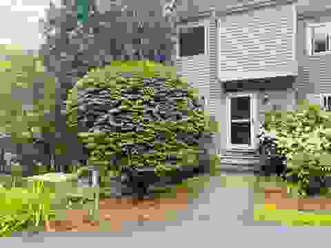 Photo of 701 Dorset Street #12, South Burlington, VT 05403 (MLS # 5105974)