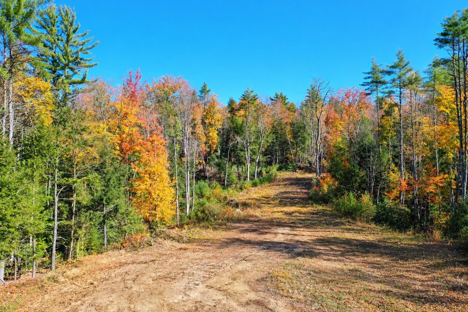Map 7 Lot 4-1 Avery Hill Road