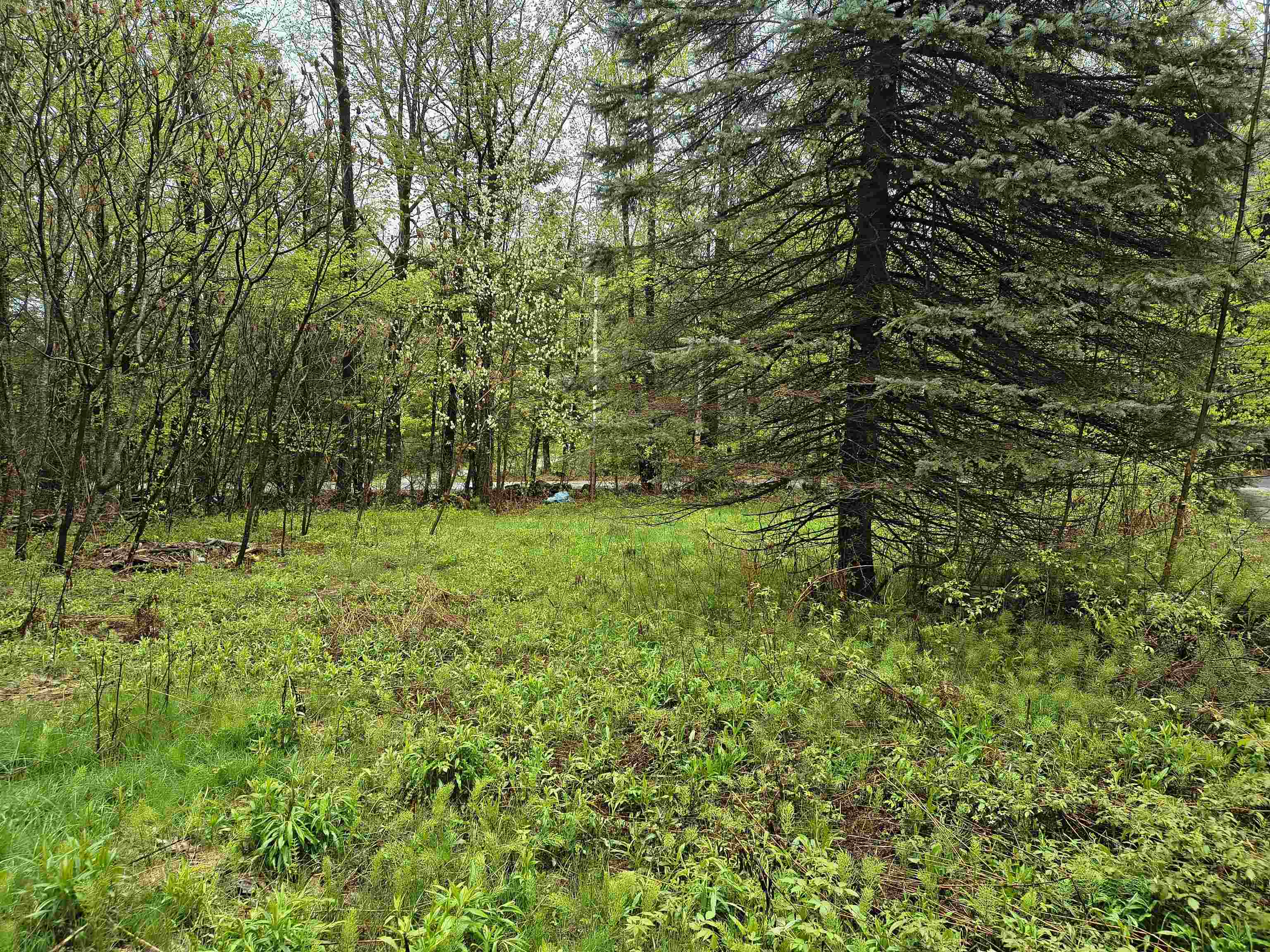 106 Waldron Hill Road
