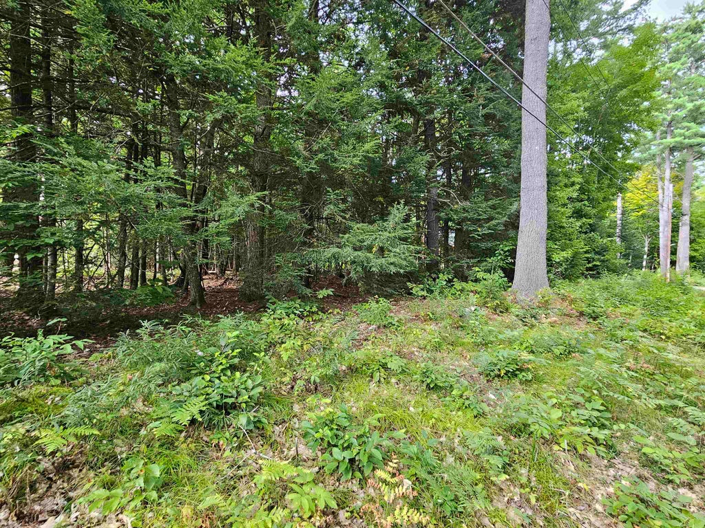 Photo of 00 Valley Road, Haverhill, NH 03765 (MLS # 5107291)