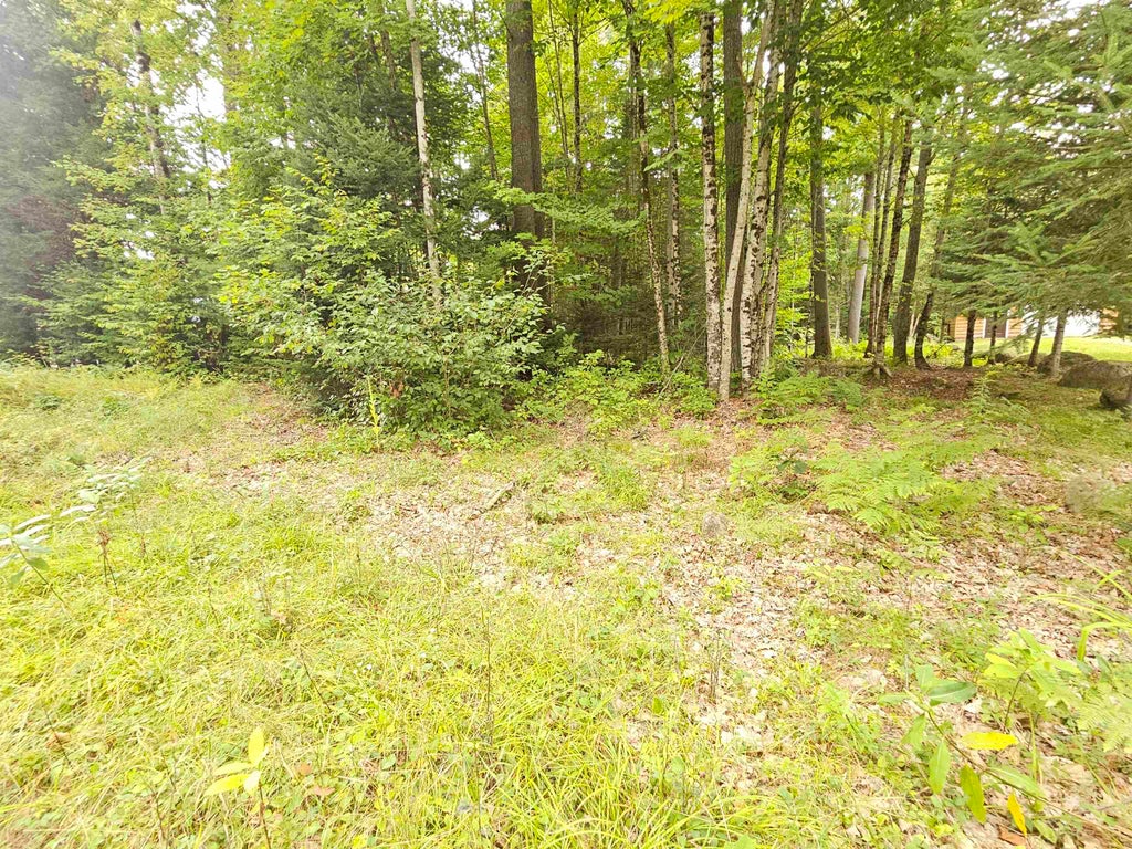 Photo of 00 Valley Road, Haverhill, NH 03765 (MLS # 5107291)