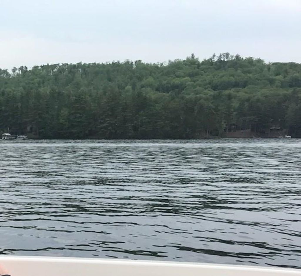 Photo of 115 Chandler Lane, Wakefield, NH 03830 (MLS # 5071031)