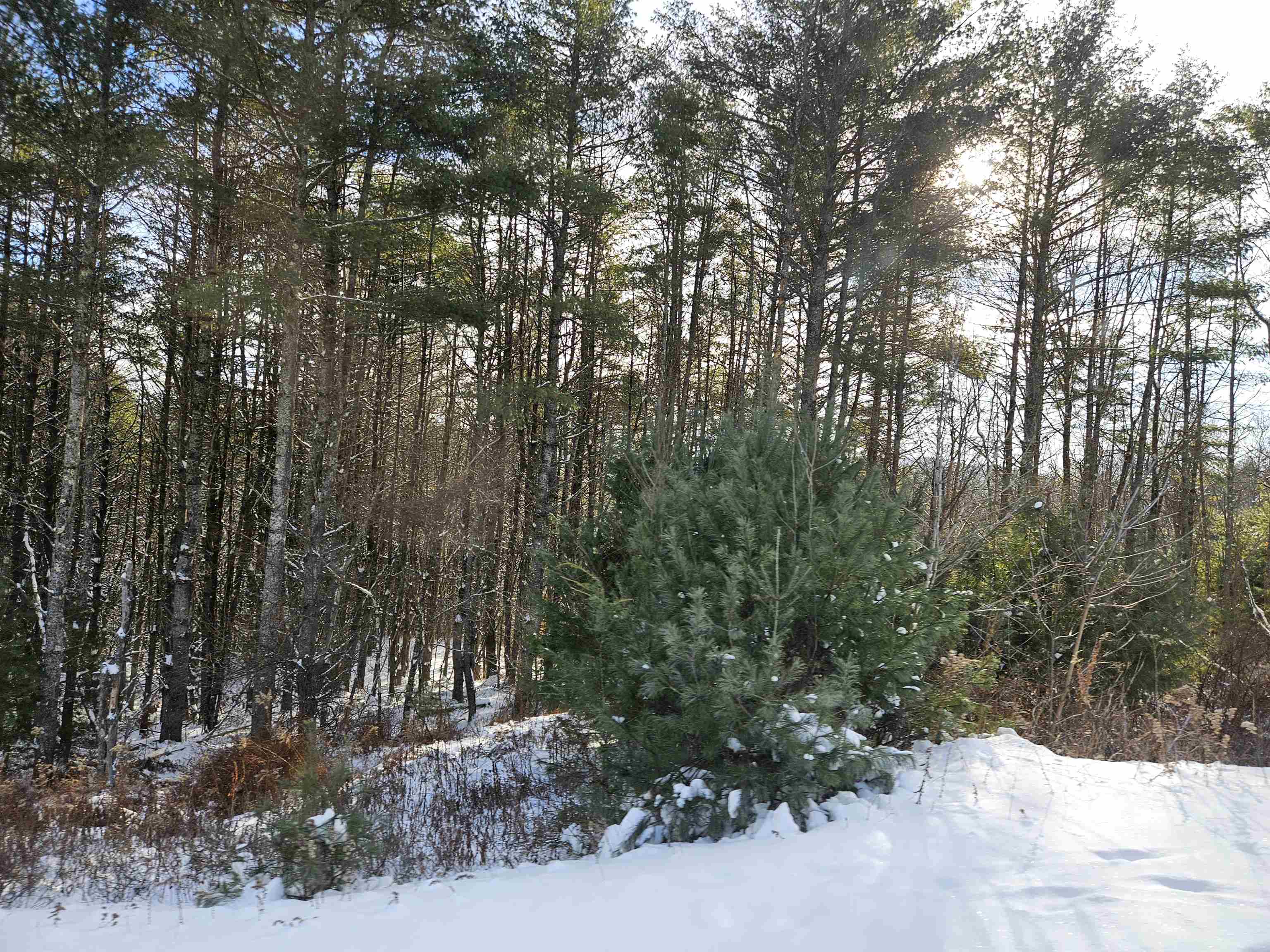 Lot 3.1 Off Parker Road