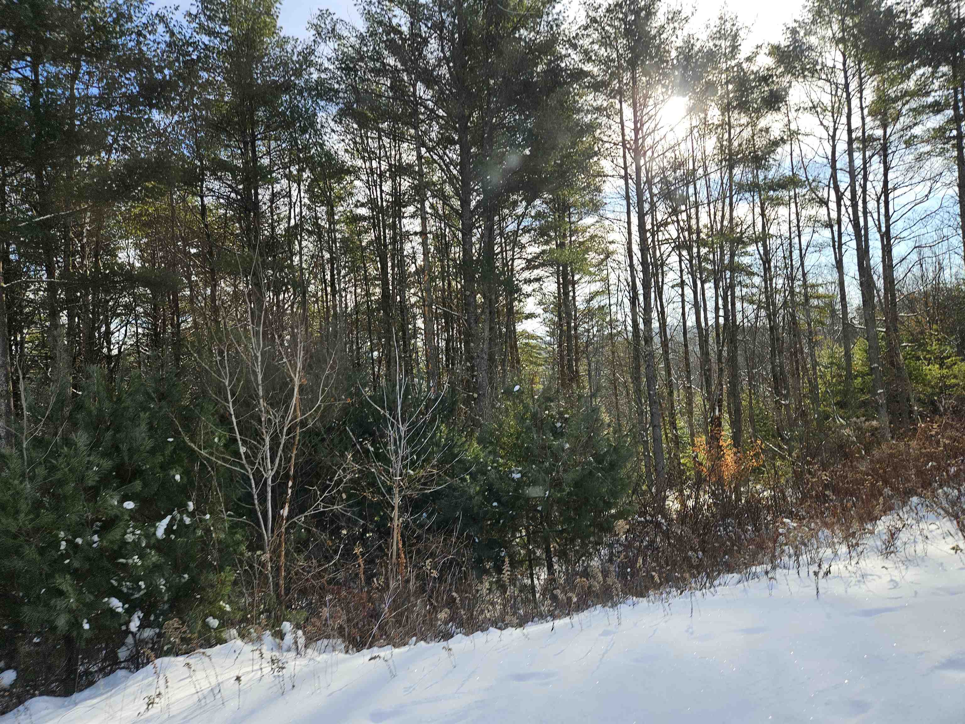 Lot 3.1 Off Parker Road