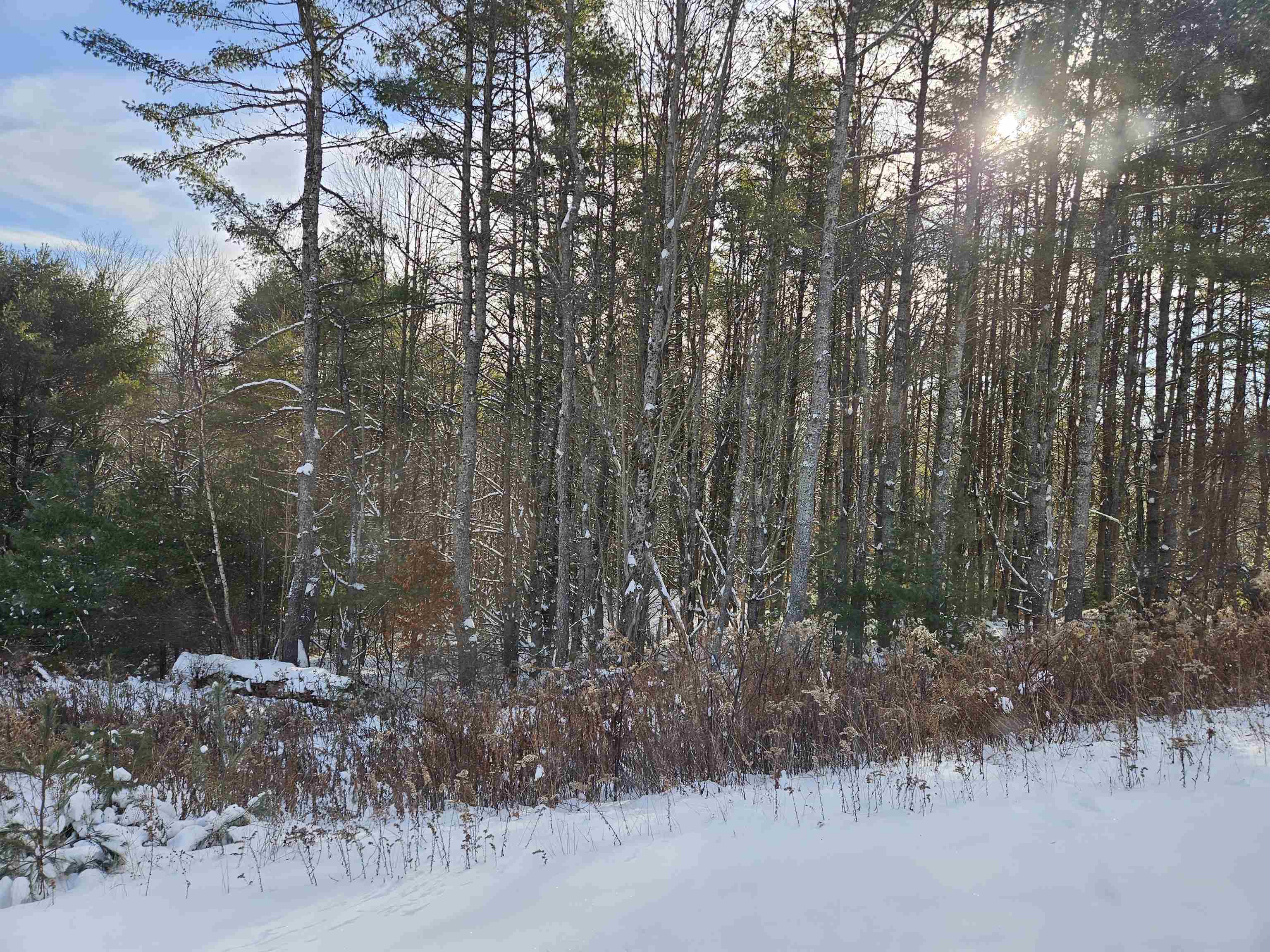 Lot 3.1 Off Parker Road