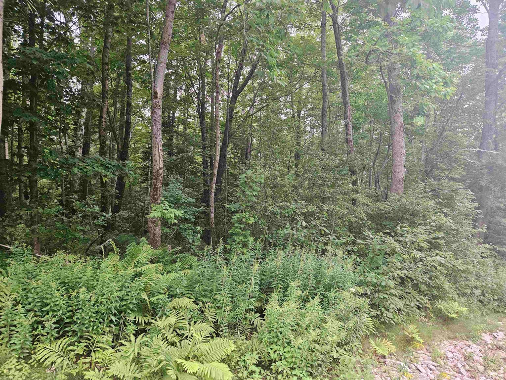 Photo of 31 Off Parker Road, Lisbon, NH 03585 (MLS # 5078578)