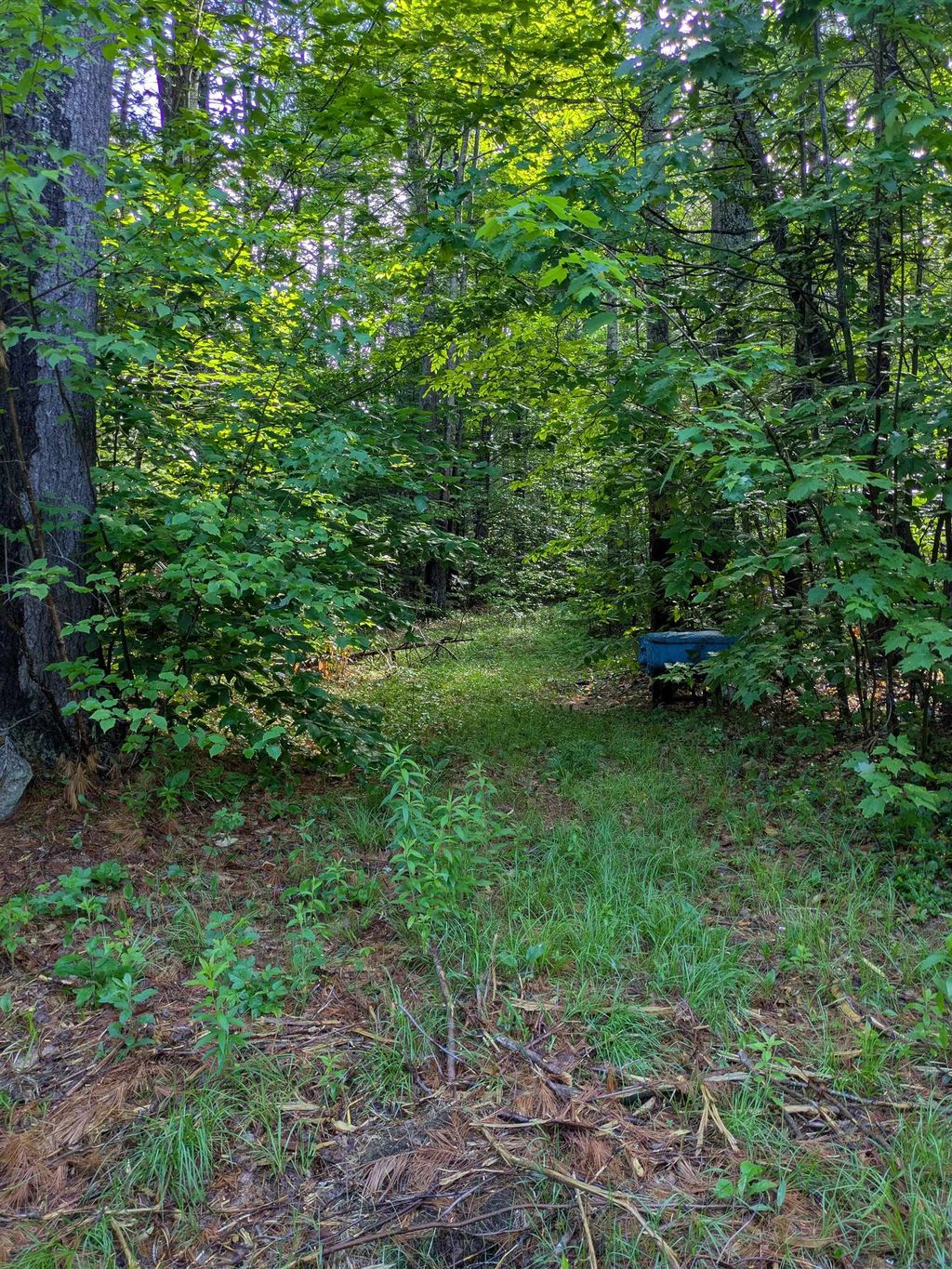 Photo of 128 Brock Hill Road, Grafton, NH 03240 (MLS # 5094870)