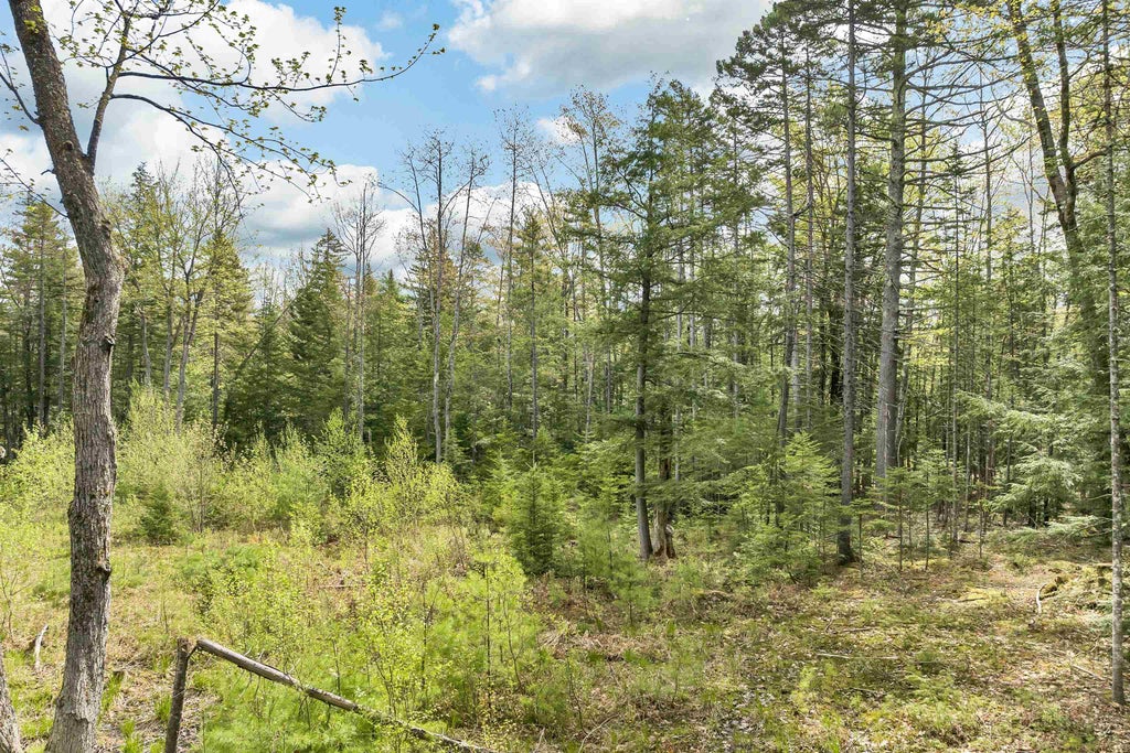 Photo of 42434449 G Street, Conway, NH 03818 (MLS # 4996541)