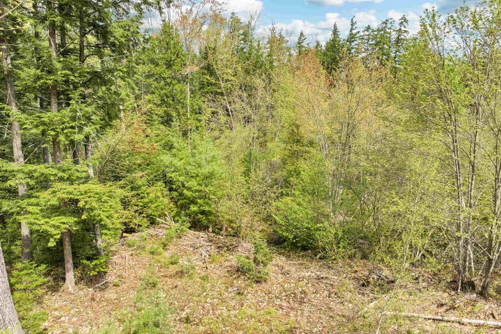 Photo 1 of 26 — Lot 42,43,44,49 G Street, Conway, NH 03818