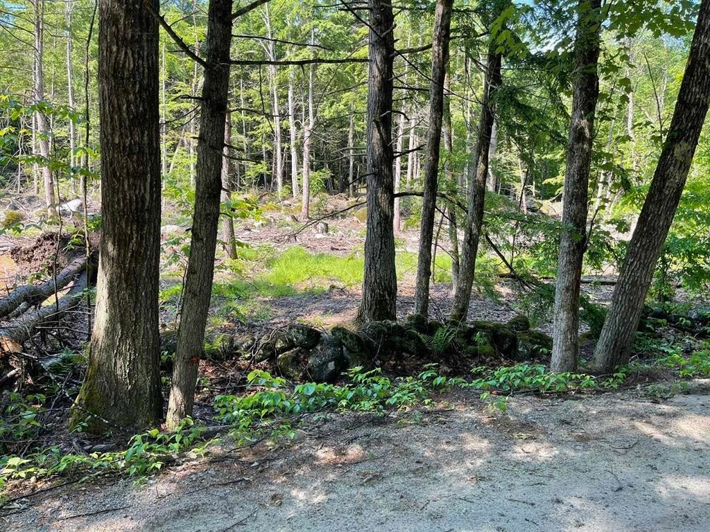 Photo of 00 Beard Road, Hillsborough, NH 03244 (MLS # 5080197)