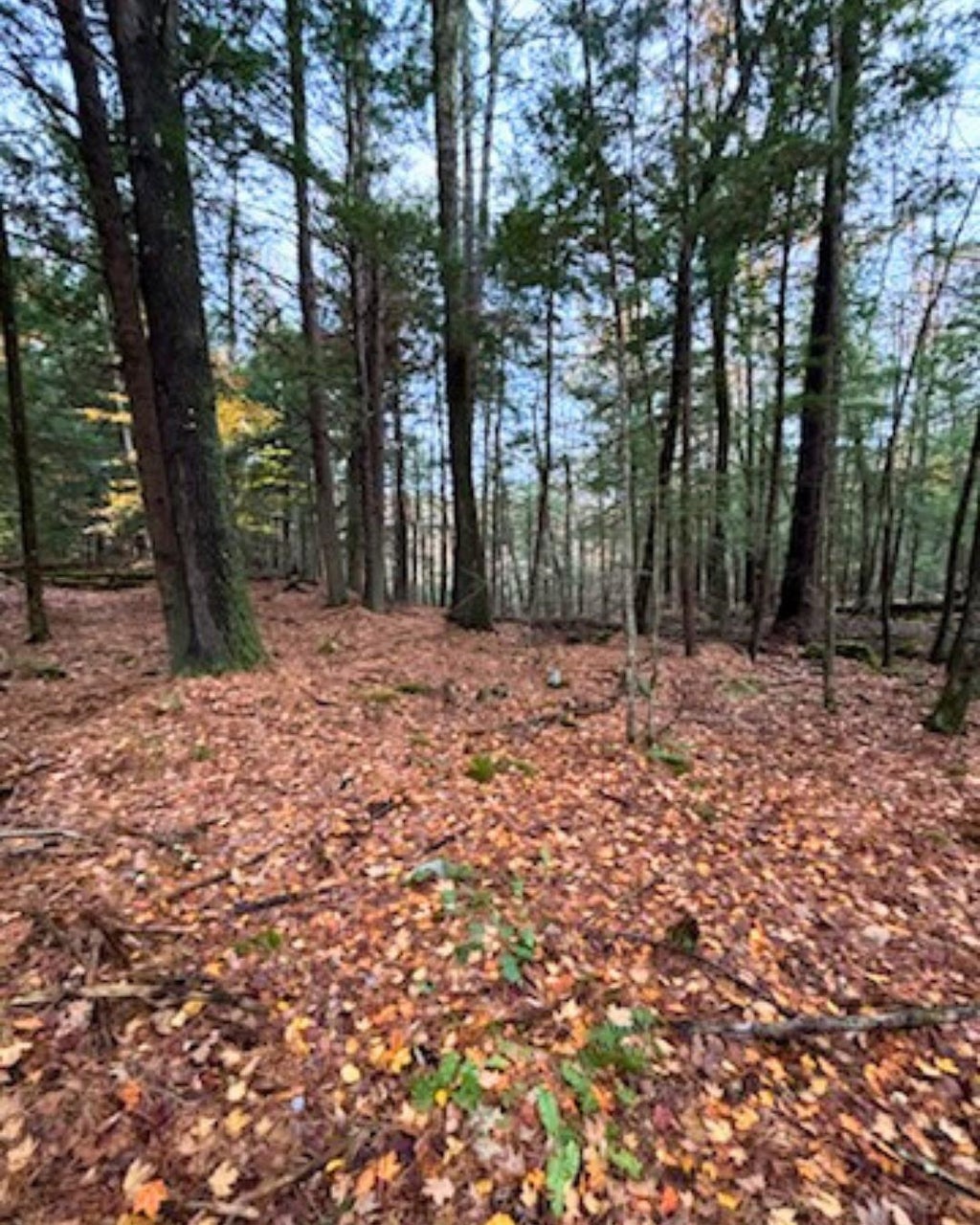 Photo of 00 Concord Road, Keene, NH 03431 (MLS # 5075469)