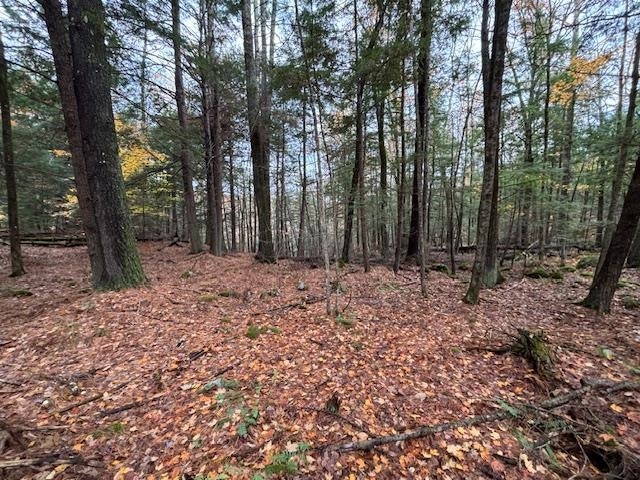 Photo of 00 Concord Road, Keene, NH 03431 (MLS # 5075469)