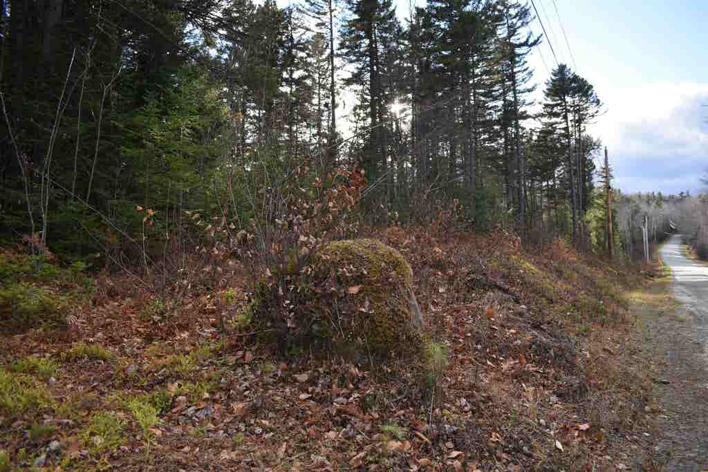 Photo of 0 Grafton Pond Road, Enfield, NH 03748 (MLS # 5069038)
