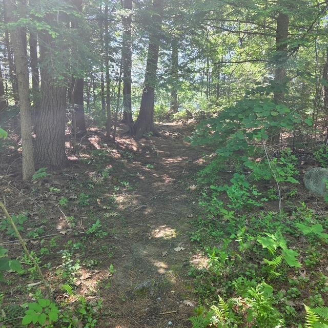 18 GORHAM Drive