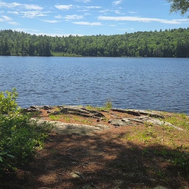 Photo of 18 GORHAM Drive, Dunbarton, NH 03046 (MLS # 5093762)