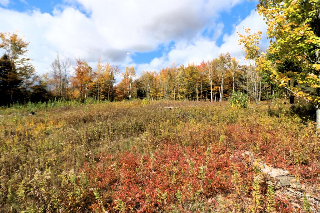 Photo of 00 Nekal Lane #Lot 5, Randolph, NH 03593 (MLS # 5114080)