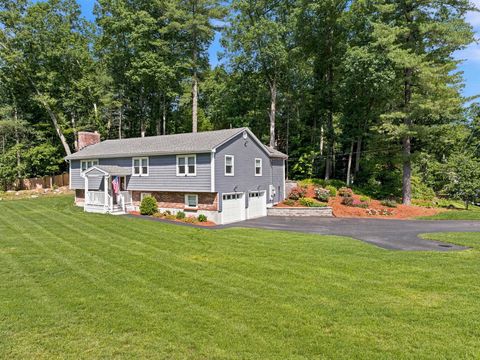 Photo of 19 Michael Avenue, Nashua, NH 03063 (MLS # 5097812)
