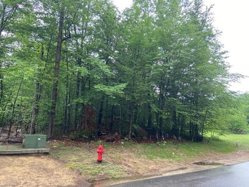 Photo of 65 South Peak Road, Lincoln, NH 03251 (MLS # 5094124)