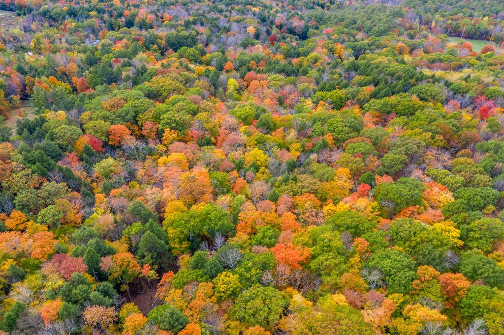 Photo of 62 Stevens Road, Hanover, NH 03755 (MLS # 5097306)