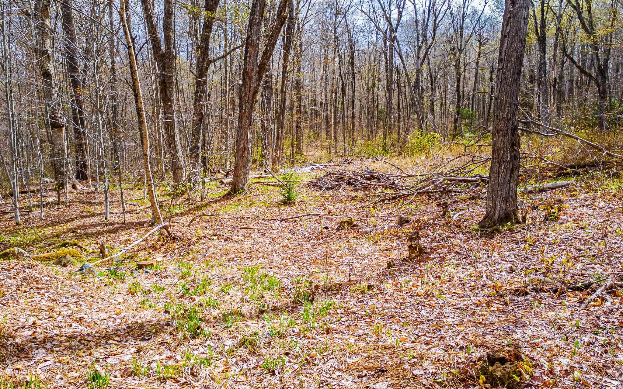 1053 Miller Pond Road