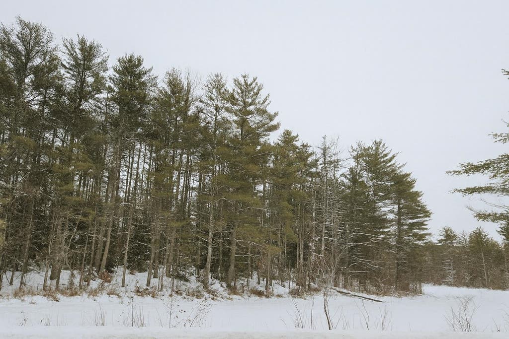Photo of 179 Chickville Road, Ossipee, NH 03864 (MLS # 5106245)