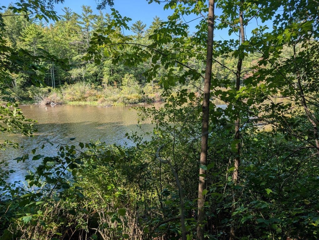 Photo of 252 Merrymeeting Road, New Durham, NH 03855 (MLS # 5086741)