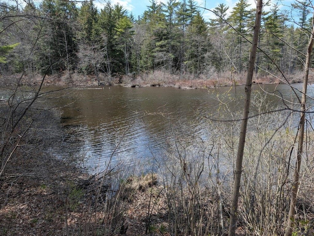 Photo of 252 Merrymeeting Road, New Durham, NH 03855 (MLS # 5086741)