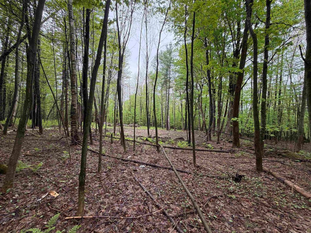Photo of 114 Lewis Hill Road, Bethlehem, NH 03574 (MLS # 5090999)