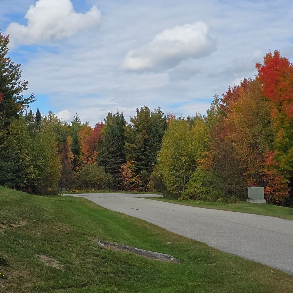 Photo of 42 Sunrise Drive #8, Whitefield, NH 03598 (MLS # 5112731)