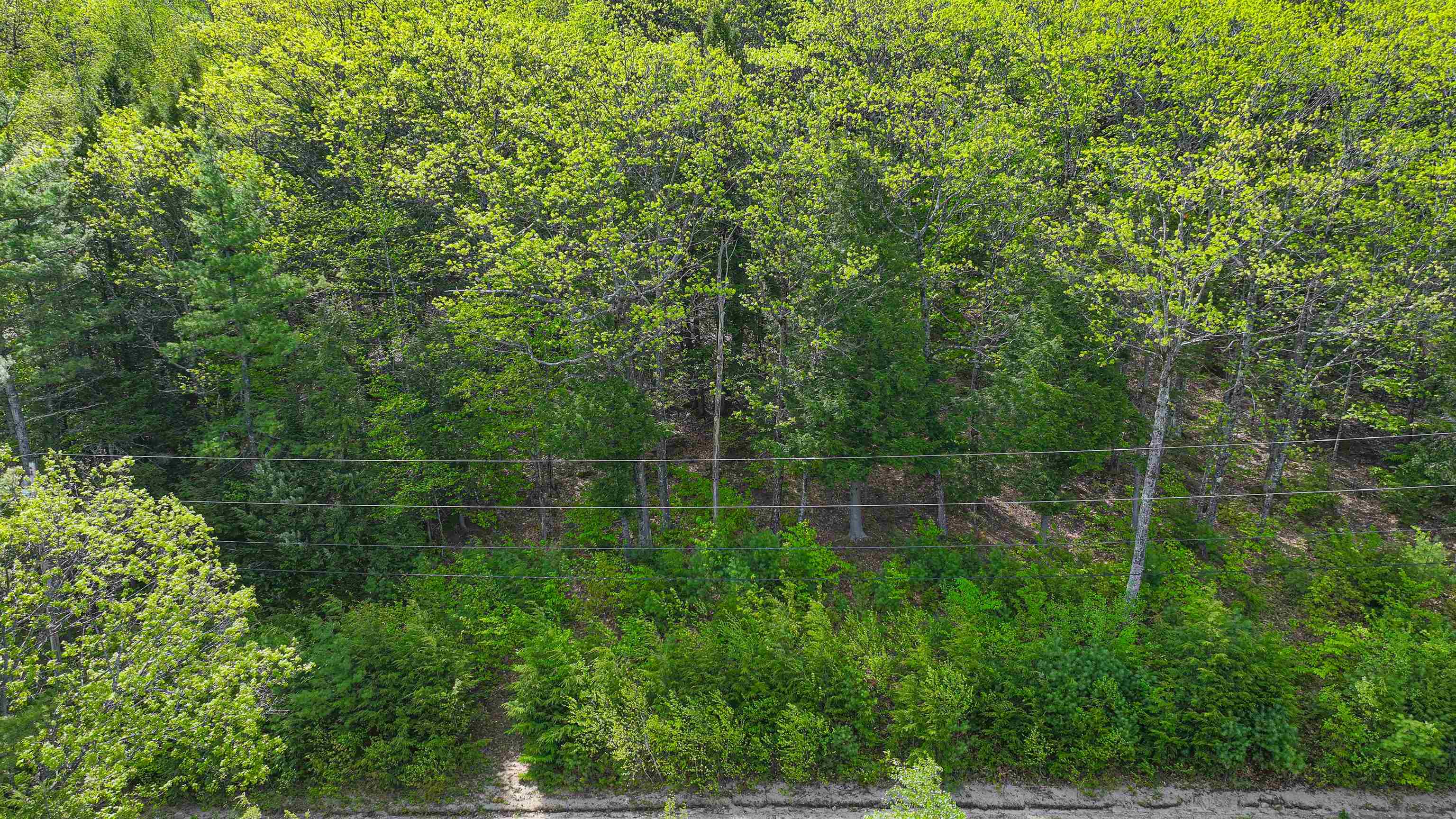 44 Regent Hill Road Lot # 113