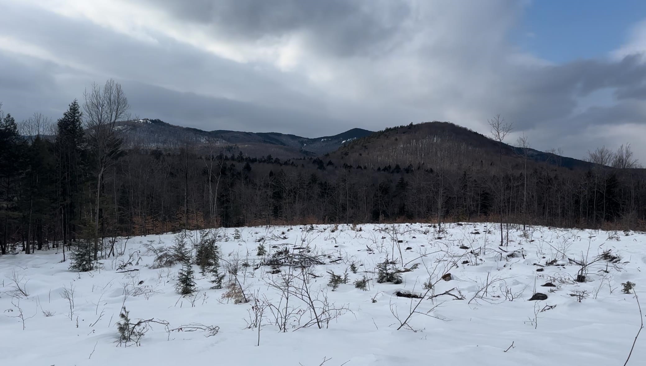 314 Ossipee Mountain Road