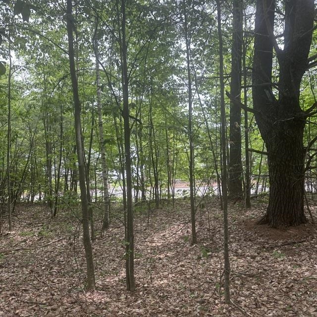Photo 1 of 13 — 44.1 Lovell Lake Road, Wakefield, NH 03872