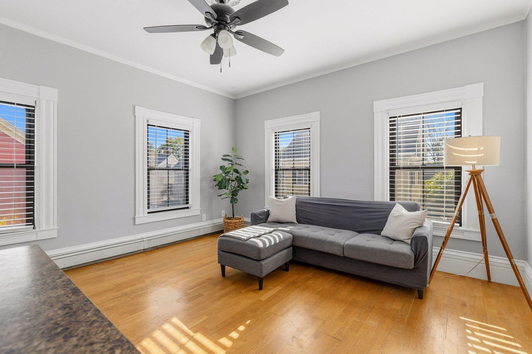 401 Islington Street 4