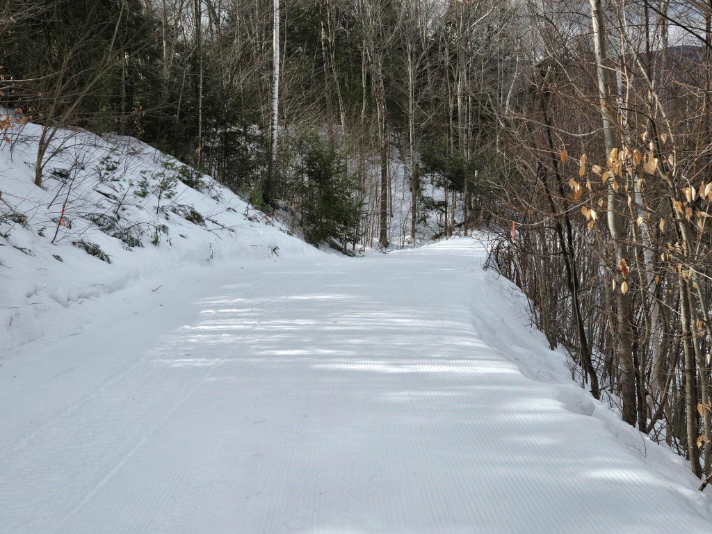 Photo of 16 Yellow Birch Circle, Lincoln, NH 02351 (MLS # 5072737)