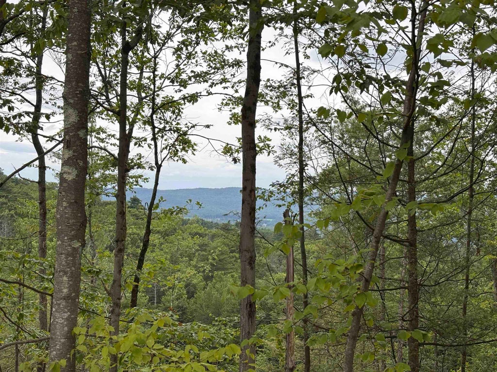 Photo of 137 Tower Hill Road, Hinsdale, NH 03451 (MLS # 5101935)