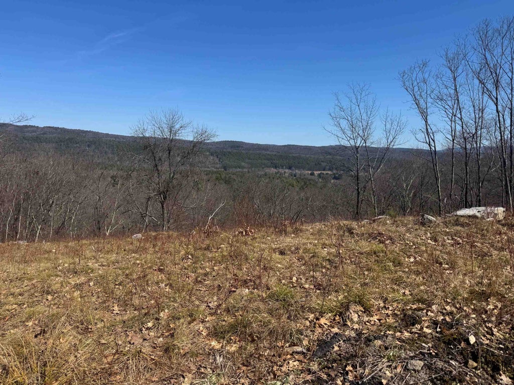 Photo of 55 Wilbur Road #78-2, Surry, NH 03431 (MLS # 5094215)
