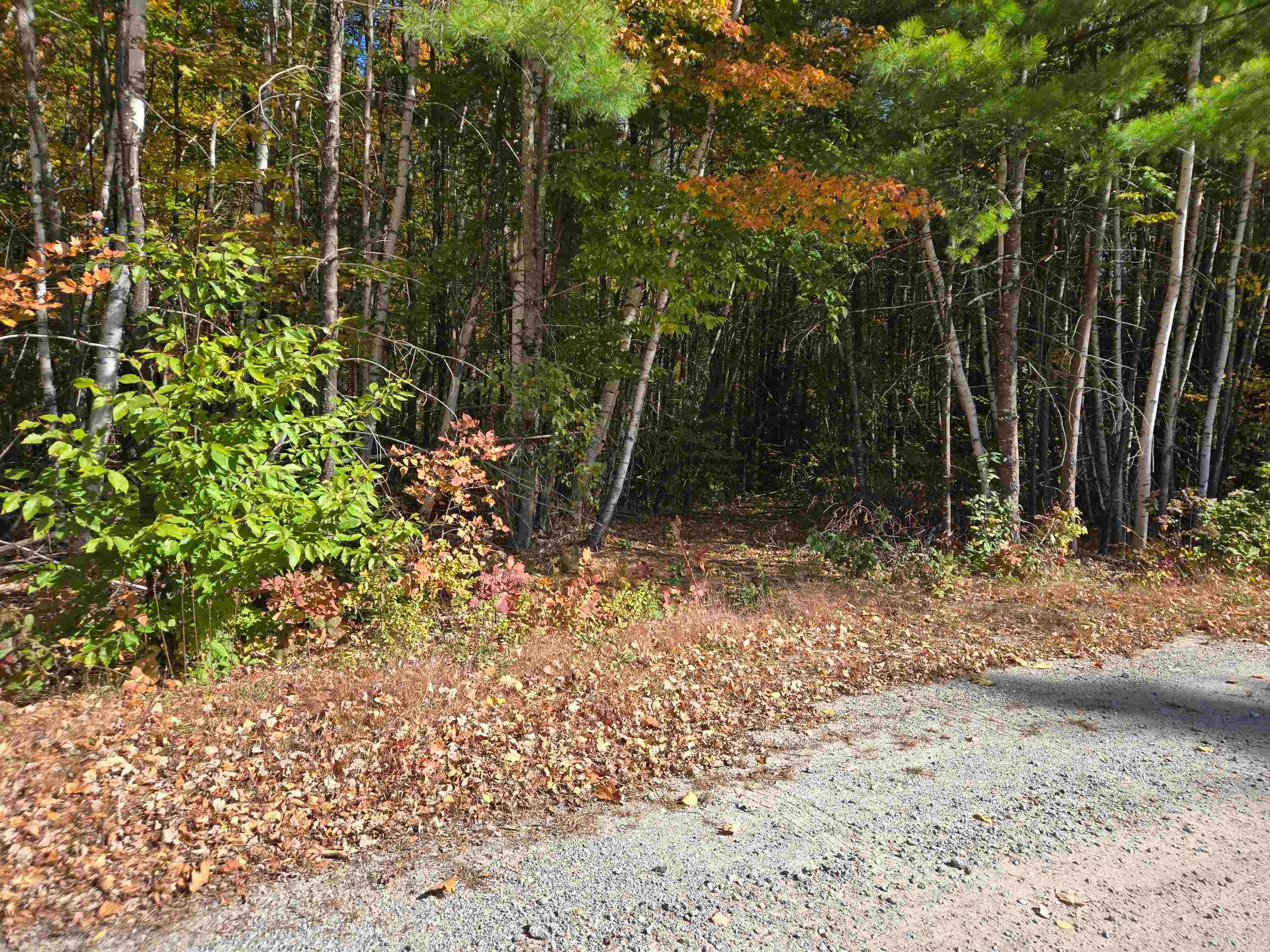 Cottage Road